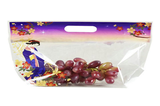 Fresh Perforated Ziplock Stand Up Pouches Fruit Protection Bag Non Toxic Ink